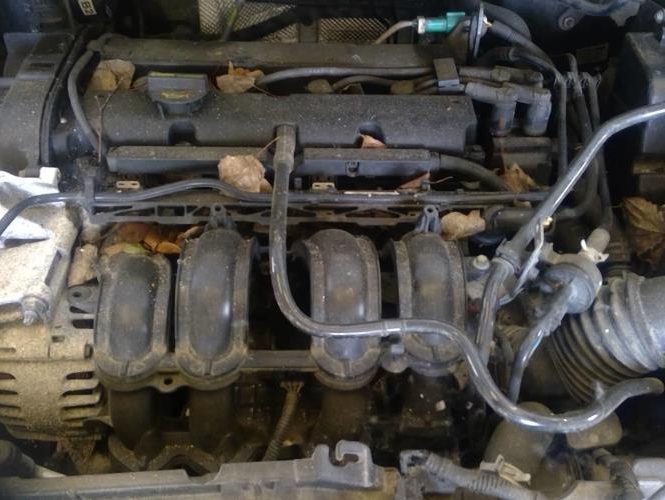 FORD FIESTA 6 PHASE 1