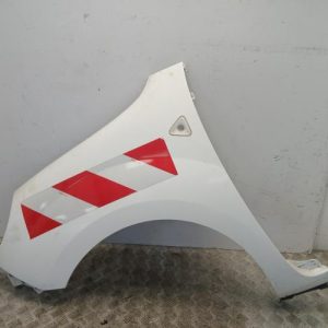 RENAULT KANGOO 2 PHASE 1