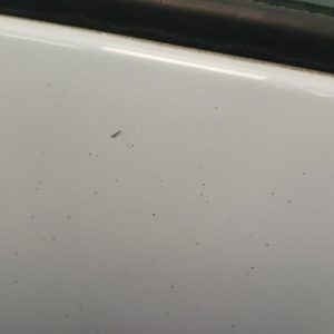 RENAULT SCENIC 3 PHASE 1