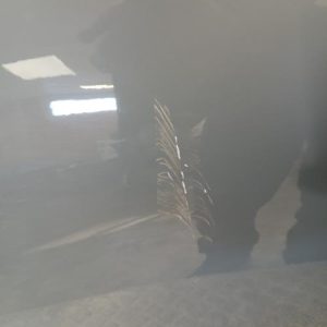 RENAULT CLIO 4 PHASE 2