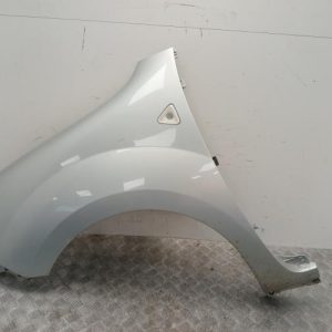 RENAULT KANGOO 2 PHASE 1