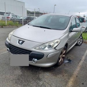 PEUGEOT 307 PHASE 1