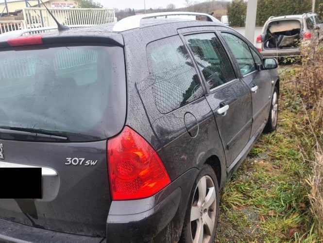 PEUGEOT 307