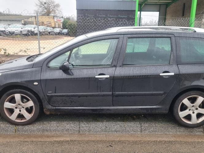 PEUGEOT 307