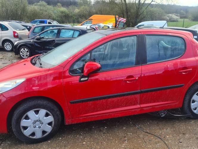 PEUGEOT 207