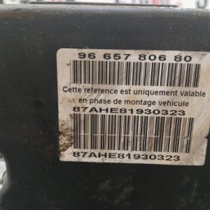 CITROEN C4 PICASSO 1