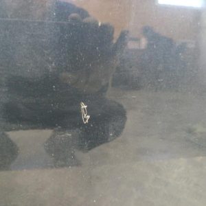 PEUGEOT 308 2 SW PHASE 2 BREAK