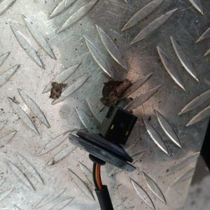 RENAULT CLIO 2 PHASE 2