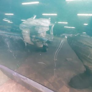 FIAT MULTIPLA PHASE 1