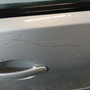 VOLKSWAGEN POLO 4 PHASE 1