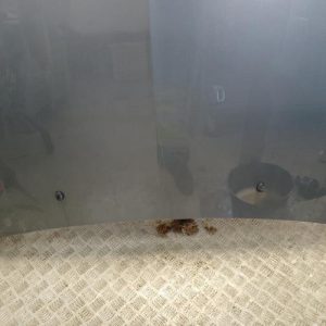 CITROEN XSARA PHASE 2