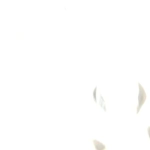 CITROEN XSARA PHASE 2