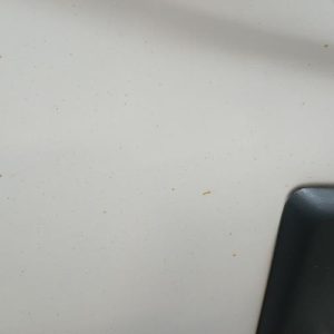 PEUGEOT BOXER 3 PHASE 2