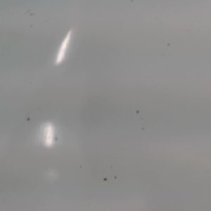 PEUGEOT 307 PHASE 1 BREAK