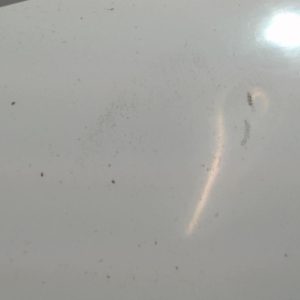 PEUGEOT 307 PHASE 1 BREAK