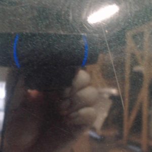 RENAULT LAGUNA 2 PHASE 1