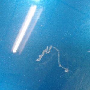 RENAULT SCENIC 2 PHASE 1