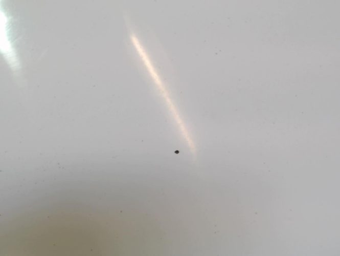 RENAULT SCENIC 2 PHASE 1