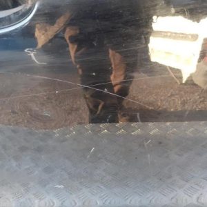 CITROEN C4 1 PHASE 2