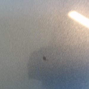 RENAULT GRAND SCENIC 2 PHASE 1