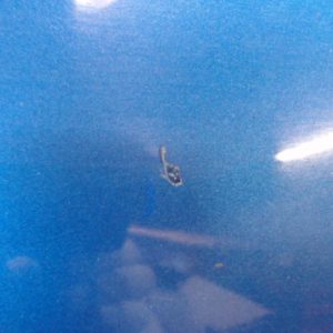 RENAULT MEGANE 2 PHASE 1