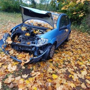 CITROEN C3 1 PHASE 1