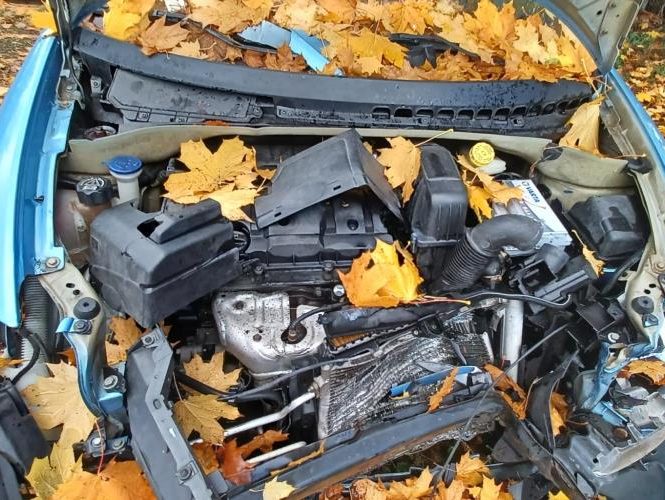 CITROEN C3 1 PHASE 1