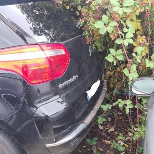 CITROEN C4 PICASSO 1