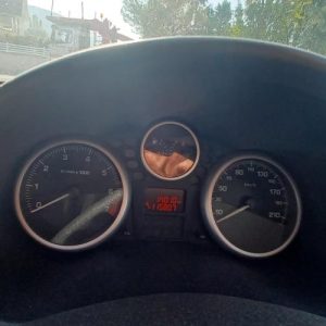 PEUGEOT 206+