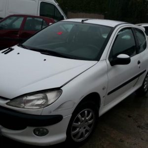 PEUGEOT 206 PHASE 1
