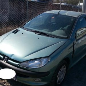 PEUGEOT 206 PHASE 1