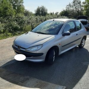 PEUGEOT 206 PHASE 1
