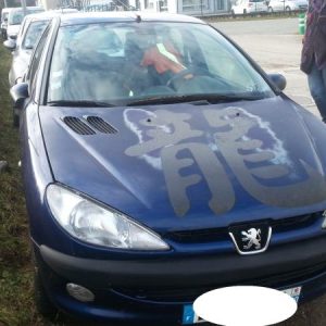 PEUGEOT 206 PHASE 1