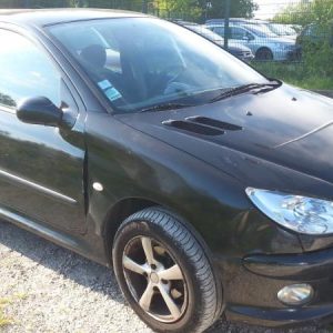 PEUGEOT 206 PHASE 2