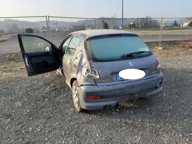 PEUGEOT 206+
