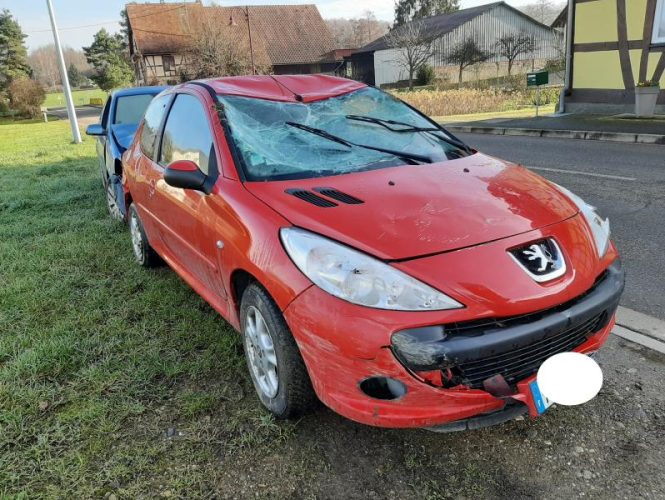PEUGEOT 206+