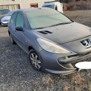 PEUGEOT 206+