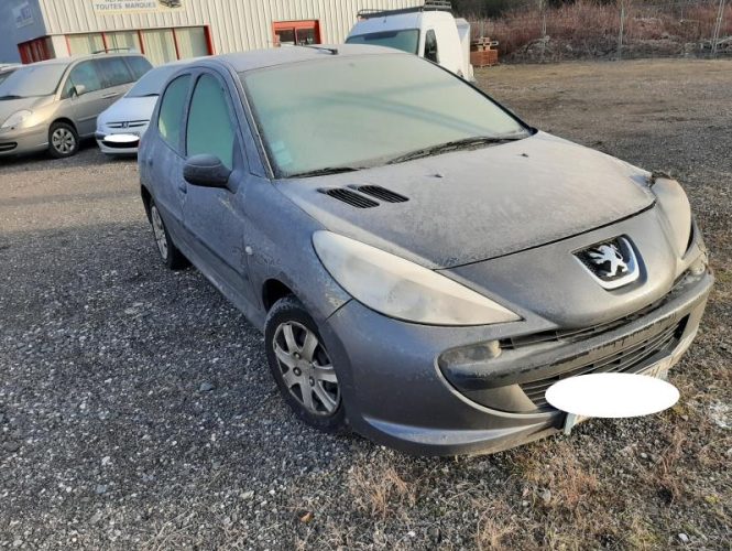 PEUGEOT 206+