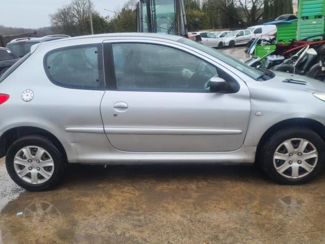 PEUGEOT 206+