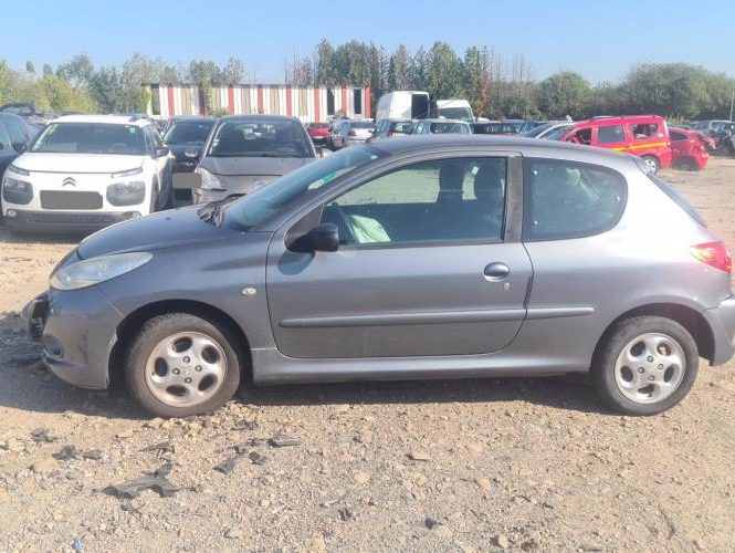 PEUGEOT 206+