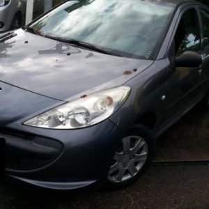 PEUGEOT 206+