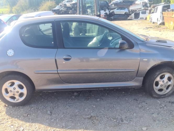 PEUGEOT 206+