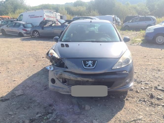 PEUGEOT 206+