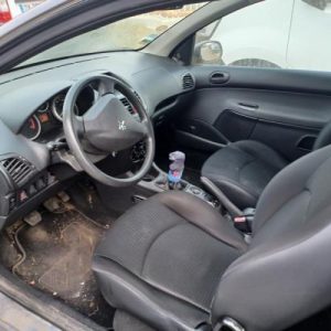 PEUGEOT 206+
