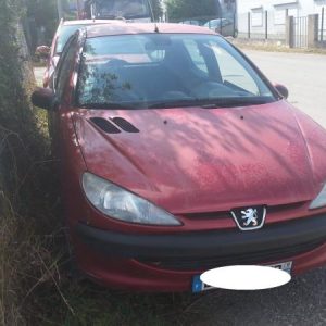 PEUGEOT 206 PHASE 1