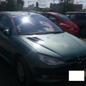 PEUGEOT 206 PHASE 1