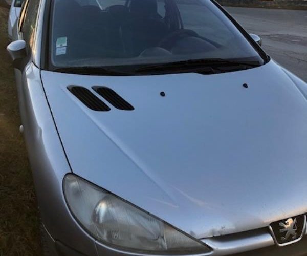 PEUGEOT 206 PHASE 1