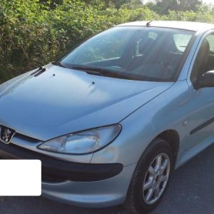 PEUGEOT 206 PHASE 1