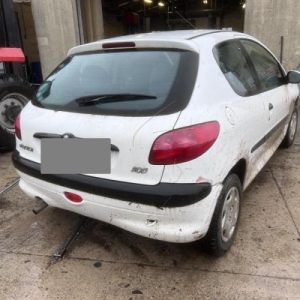 PEUGEOT 206 PHASE 1