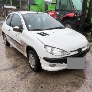 PEUGEOT 206 PHASE 1